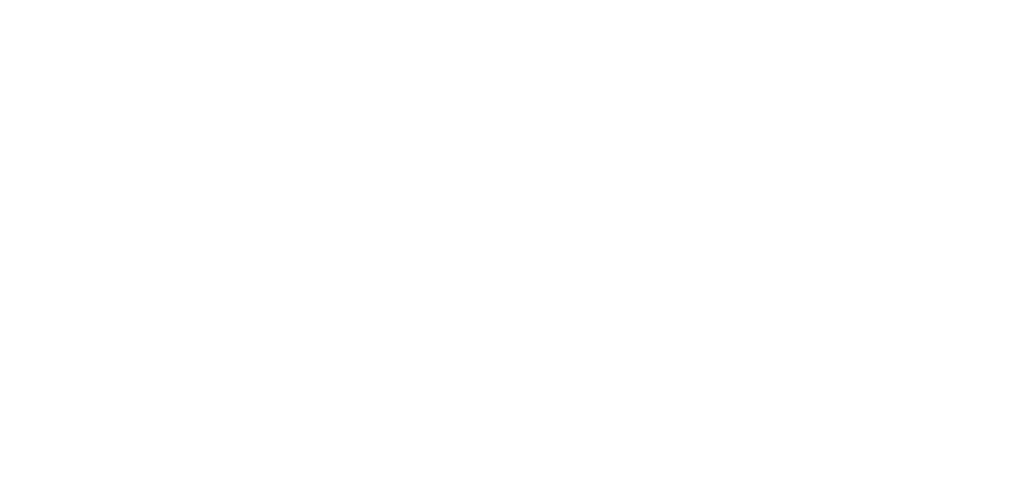 Arian Custom Doors
